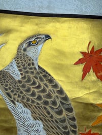 Image 4 of Golden Falcon