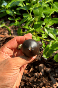Image 4 of Triple cap mushroom sculpture spoon 