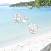 CONCH STUDS