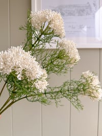 Image 2 of Cottage Elderflower Stems ( set of 3 )