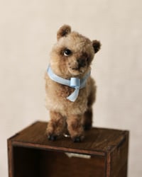Image 2 of pipe cleaner Toffee the alpaca
