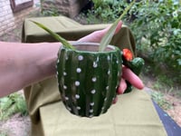 Image 2 of Spider Plant in Cactus Mug