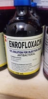 Enroflox injection 