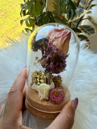 Image 4 of Fox Spine Cloche 