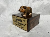 Image 2 of Custom Engraved Guinea Pig Urn Custom HandPainted To Your Photos