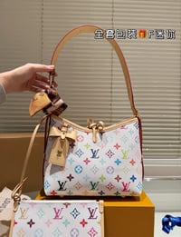 LV Monogram Multicolore Nano Noé