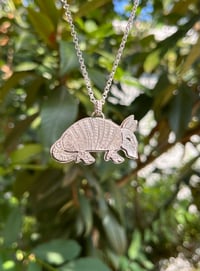 Image 3 of Sterling Armadillos