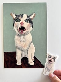 Sora the Cat Deluxe Print Set