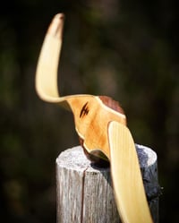 Image 3 of Thompson Custom Bow