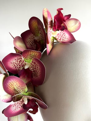 Image of Variegated orchid 