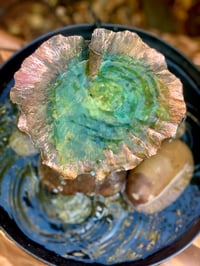 Image 3 of Leaf