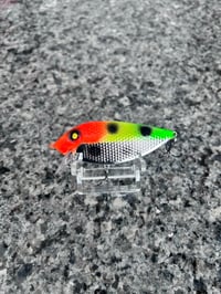Mixed Vegi Fin