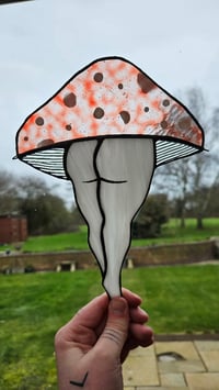 Image 1 of Mushroom bum 5