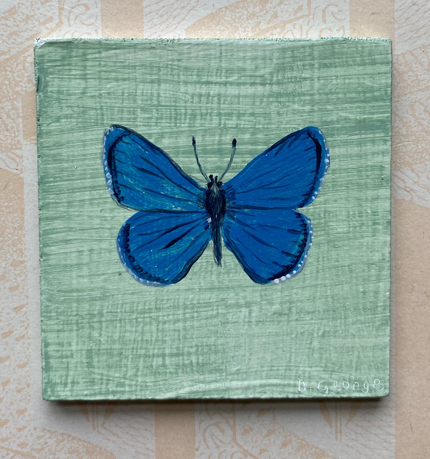 Image of Miniature blue butterfly 
