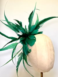 Image 3 of Teal/jade  feathers 