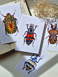 Image 6 of Beetles Postcard Set
