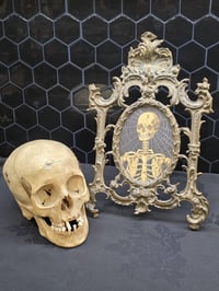 Image 3 of RESERVED - Anatomical antique skull with preserved web & black ornate framed preserved web 