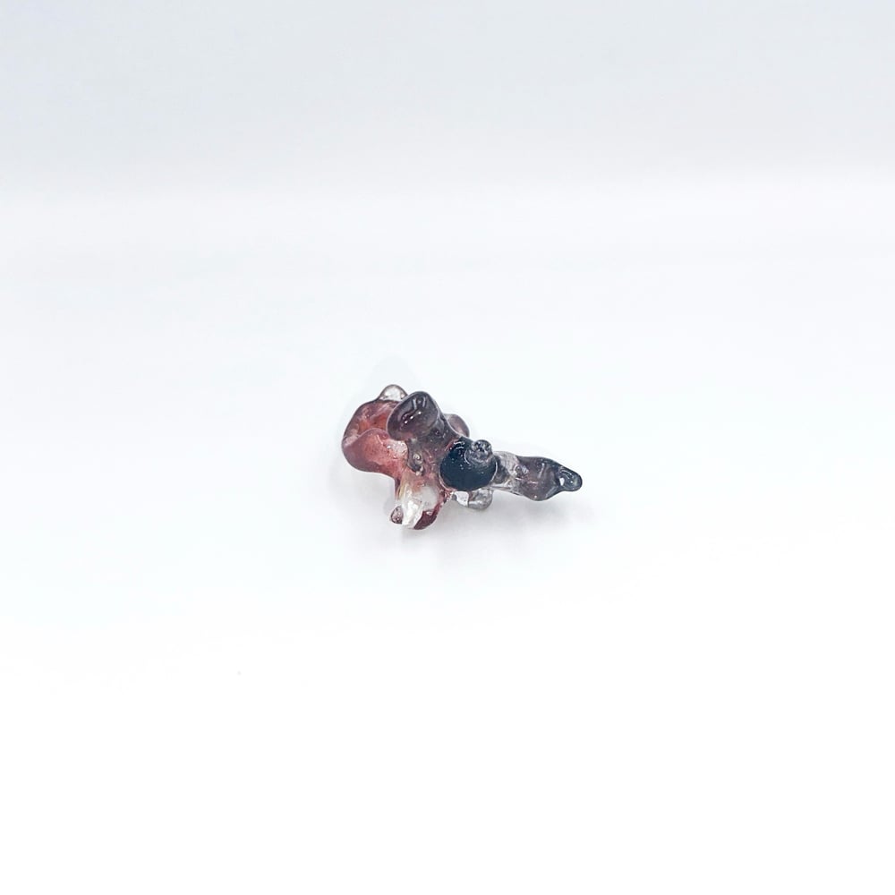 Coral🪸Eli