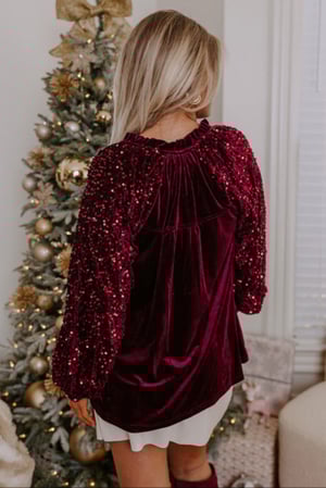 Image of  Red Sequin Top