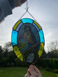 Image 3 of Sparrows home