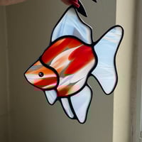 Image 2 of RED AND WHITE Ryukin Goldfish