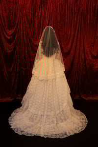 Image 9 of Mantilla Lace Veil