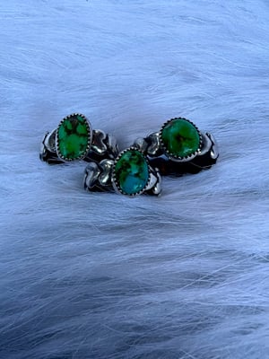 Image of Main Muscle Ring