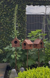 Image 4 of Rustic Garden Birdhouse Stake