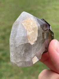 Image 10 of Smoky Amethyst Specimen #1905