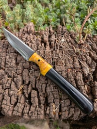 Image 2 of COMPANION #2