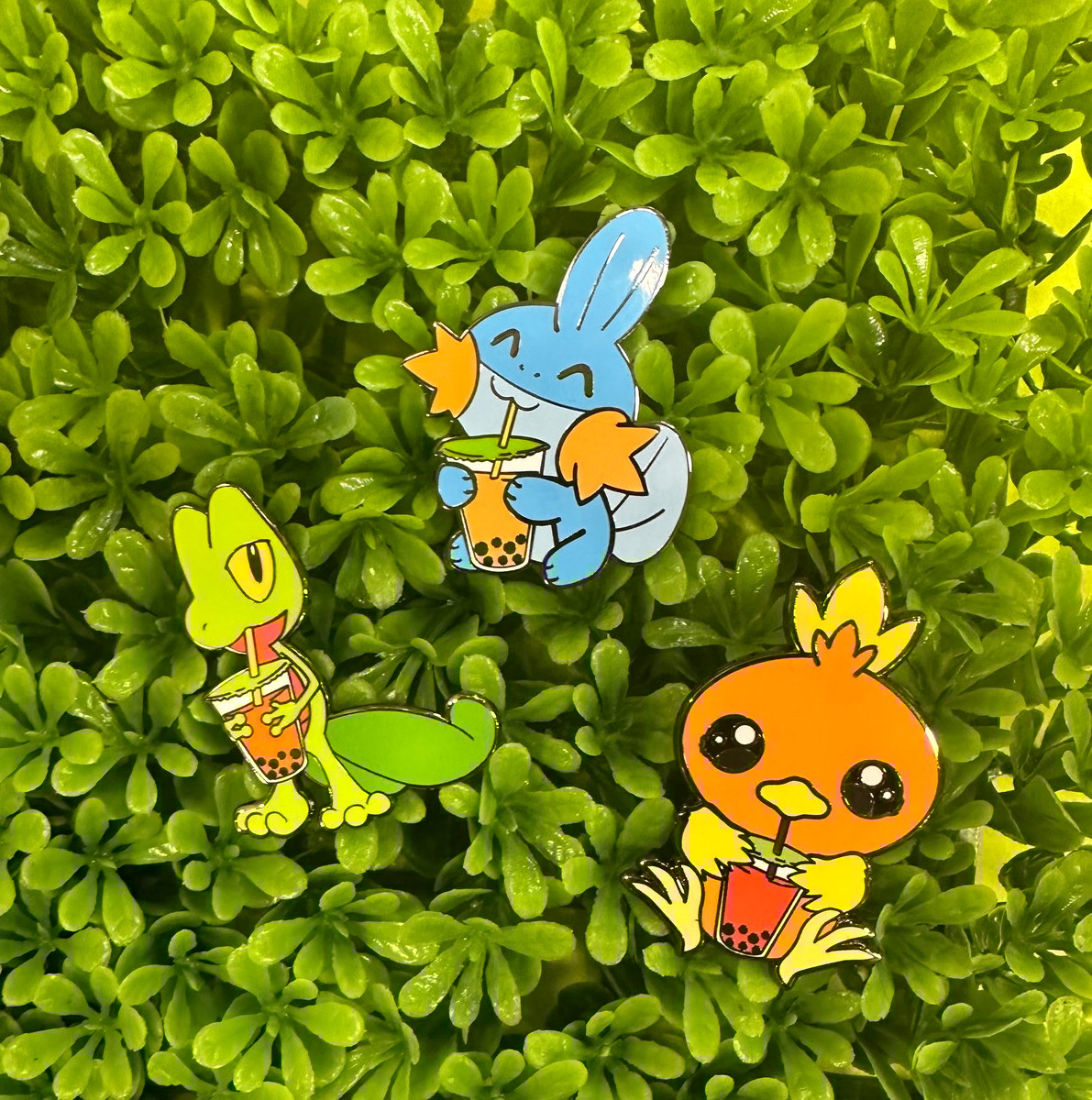 Pokemon Starters Hoenn