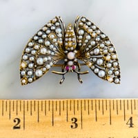 Image 2 of 14K GOLD BUTTERFLY BROOCH