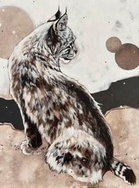 Image 1 of ORIGINAL- Chocolate Bobcat II
