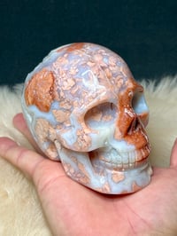 Image 1 of Druzy Pink Petal Agate Skull Carving #2240