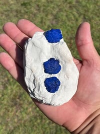 Image 1 of Azurite Suns On Matrix Specimen | NT Australia #2973
