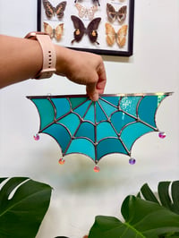 Image 3 of Web 