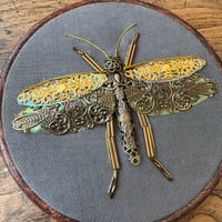 Image 1 of Grasshopper (6 inches) 