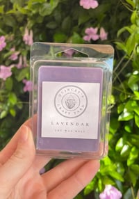 Classic Soy Wax Melts