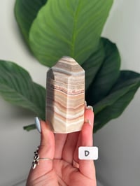 Image 4 of CHOOSE YOUR OWN BANDED CALCITE FREEFORM -UTAH- 