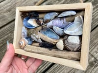 Image 2 of Beach Box #1