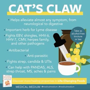 Image of Cats Claw Powder