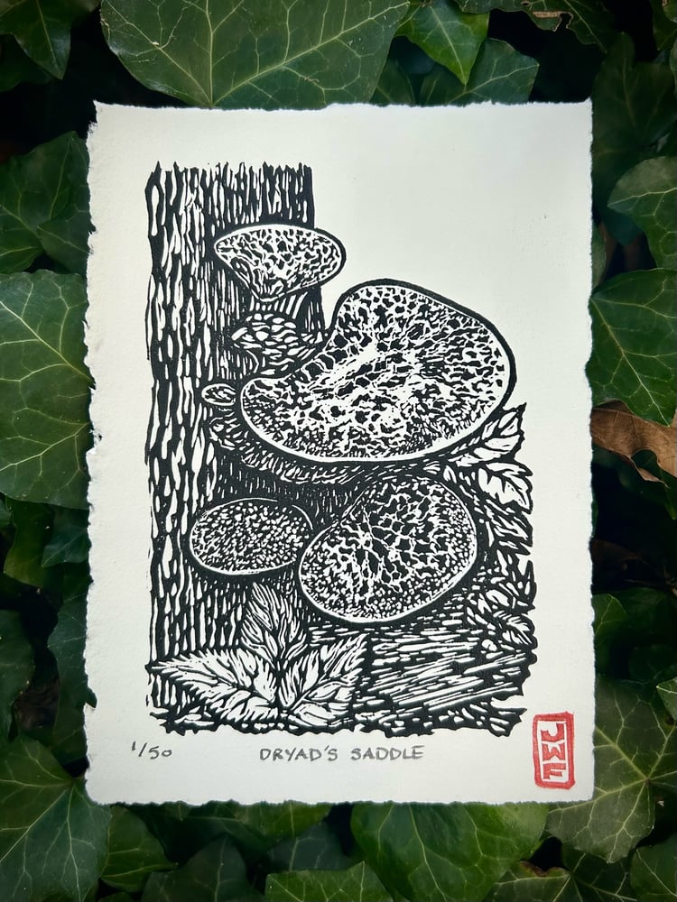 Image of The Fungus Among Us: Monthly Mushroom series