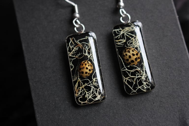sunbleached lady bird stainless steel earrings 2