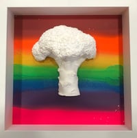 Pride 2 Large Broccoli 