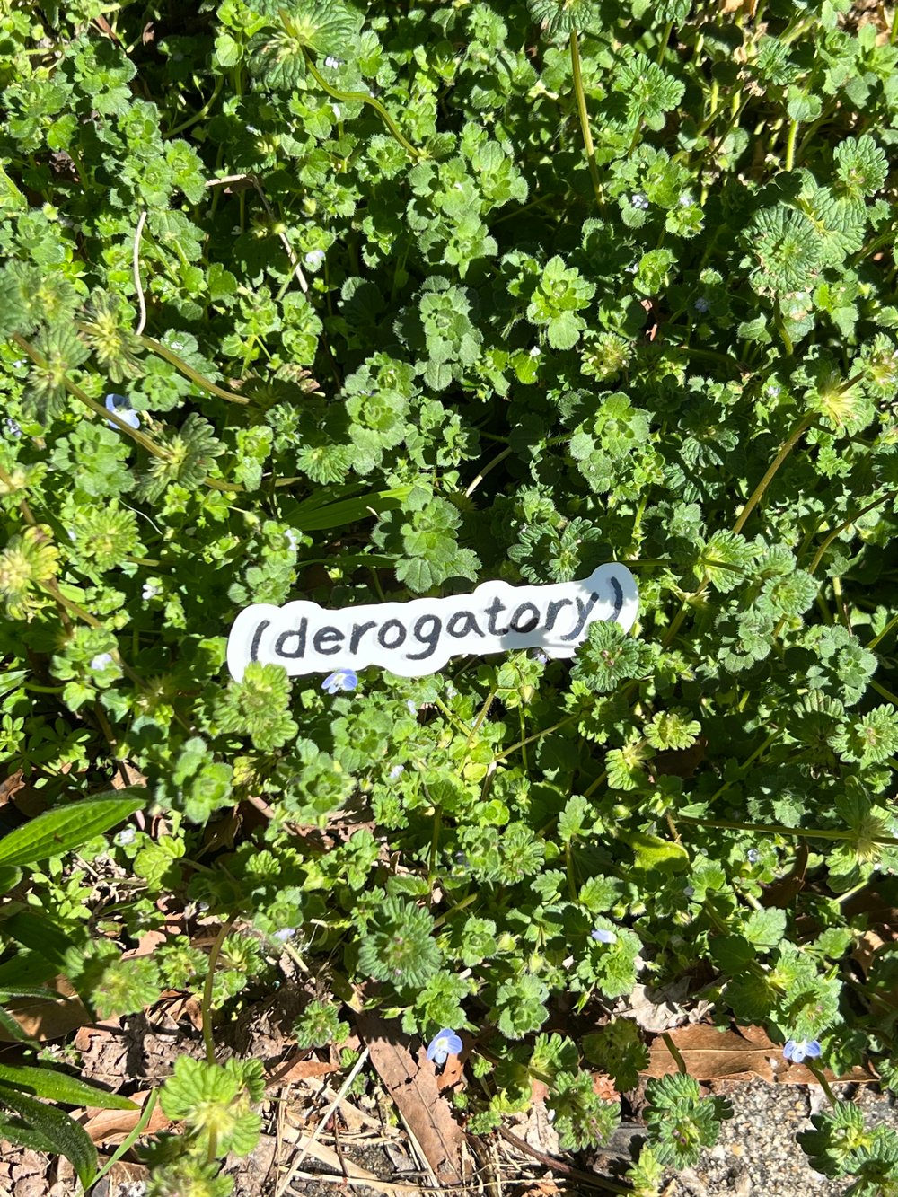 Image of (derogatory)