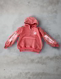 Image 2 of INFERIOR QUARTER ZIPS