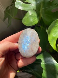 Image 5 of Moonstone Palm Crystal (7)