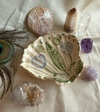 Image 1 of Coquillage en céramique_Nature 2🌟