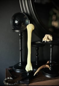 Image 2 of The Relic 