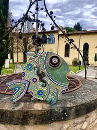 Image 4 of King Round Fish